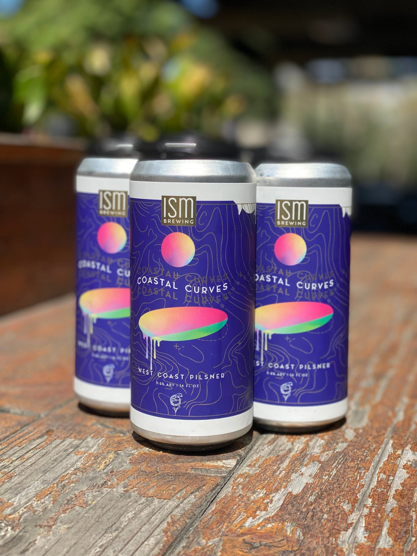 Coastal Curves - West Coat Pilsner - 4 pack