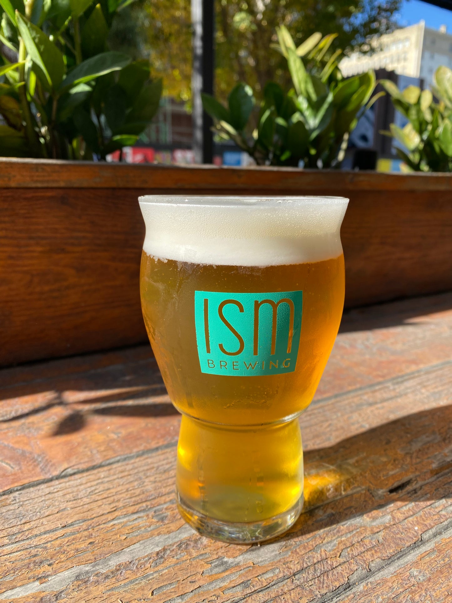 "What's your ISM?" 16oz Craft Master Pint Glass